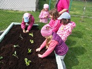 Zahradničíme ve školce